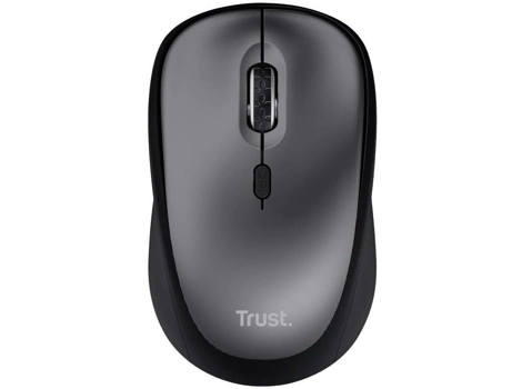 24549_TRUST