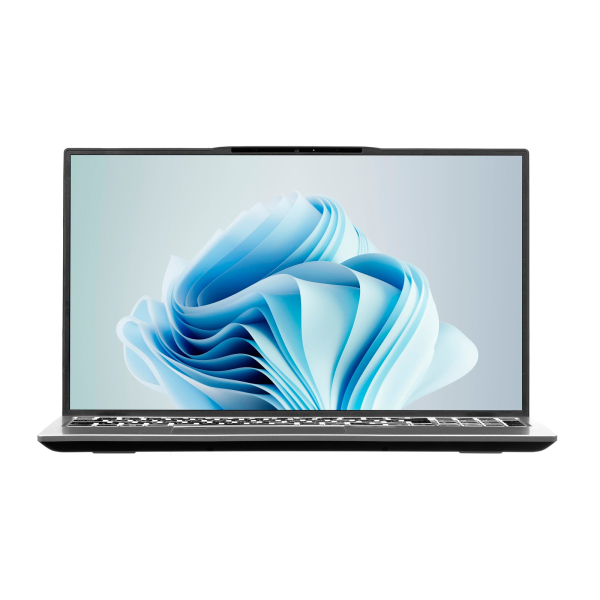 2eComplex Pro 15 15.6 1920x1080 Intel Core i5/Intel 12; 16 ГБ; 12/16; NS51PU-15UA3173