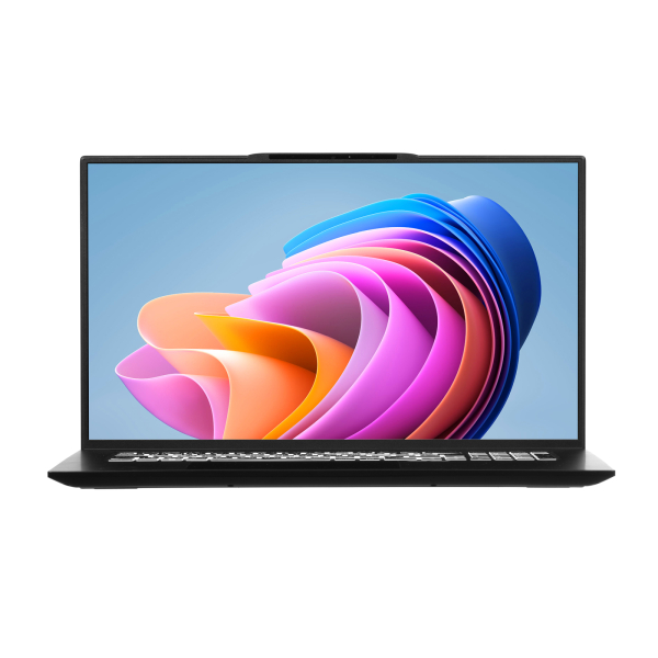 2eComplex Pro 17 17.3 1920x1080 Intel Core i5/Intel 12; 16 ГБ; 12/16; NS70PU-17UA3173