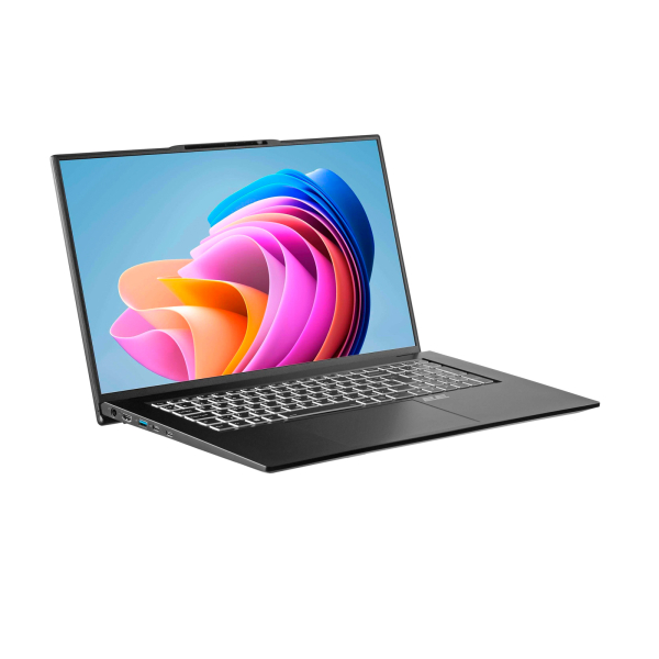 2eComplex Pro 17 17.3 1920x1080 Intel Core i7/Intel 12; 32 ГБ; 12/16; NS70PU-17UA5273