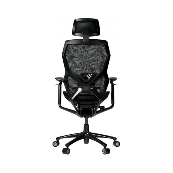 lrg-chr855b
