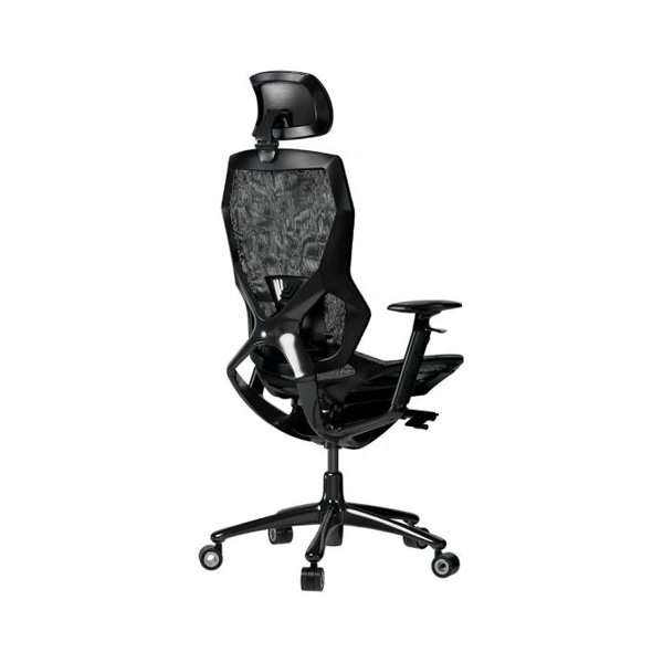 lrg-chr855b