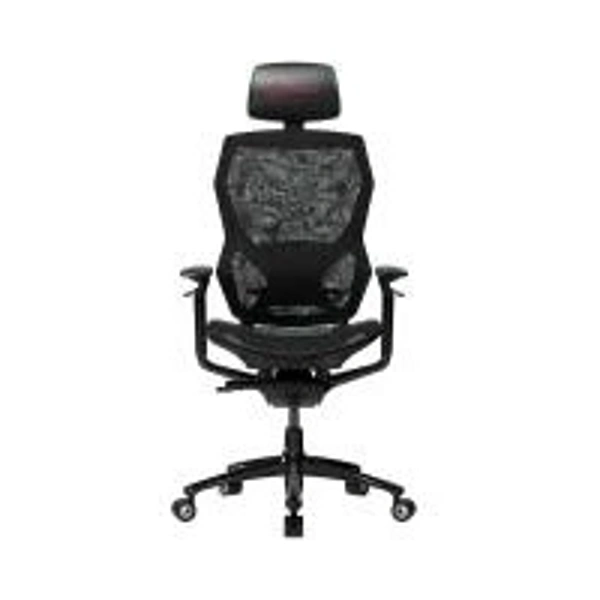 lrg-chr855b