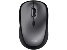 24549_TRUST
