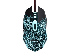 24618_TRUST