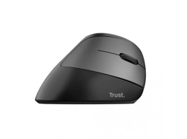 24731_TRUST
