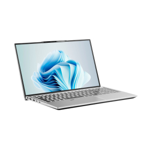 2eComplex Pro 15 15.6 1920x1080 Intel Core i5/Intel 12; 16 ГБ; 12/16; NS51PU-15UA3173