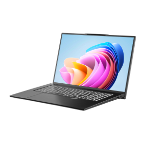 2eComplex Pro 17 17.3 1920x1080 Intel Core i5/Intel 12; 16 ГБ; 12/16; NS70PU-17UA3173