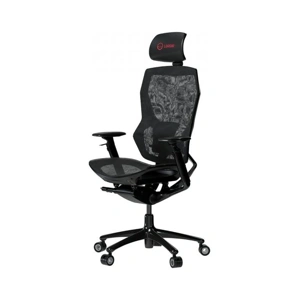 lrg-chr855b