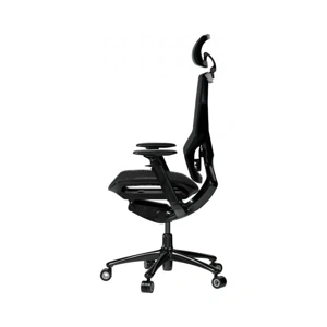 lrg-chr855b